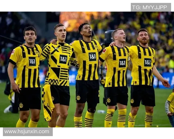 德甲精彩对决多特蒙德补时绝杀国米全场沸腾战术解析 德甲精彩对决多特蒙德补时绝杀国米全场沸腾战术解析